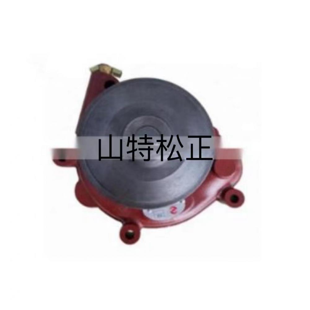 engine parts Water Pump D20-000-30