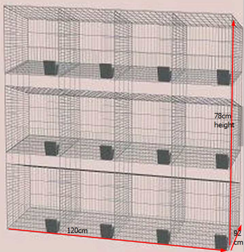 Cage d&#39;élevage de lapin bon marché, cage industrielle pour le lapin, cage commerciale de lapin dans la ferme