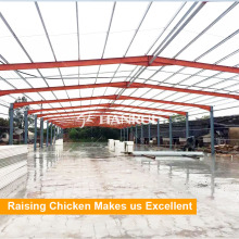 China Famous Factory Tianrui Design Morden Chicken Farm