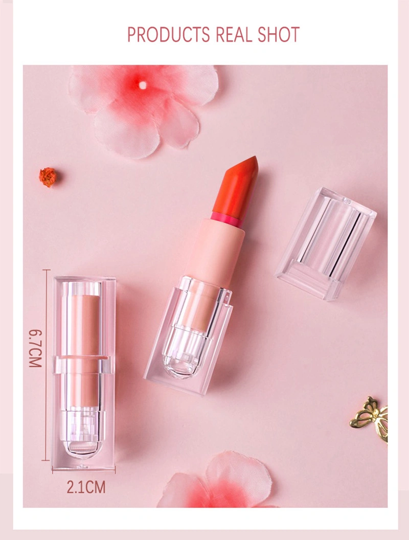 Top Quality Capsule Lipstick Matte Cosmetic Vintage Lipstick OEM Makeupred Lipstick Private Label