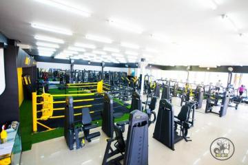 200㎡ full gym equipment set