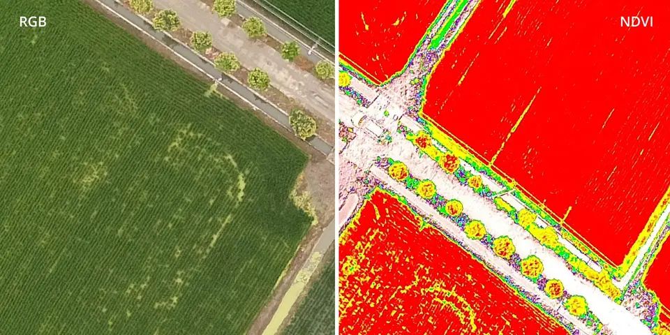 DJI P4 Multispectral for plant intelligence Targeted Action drone with camera Phantom 4 Multispectral for agriculture survey