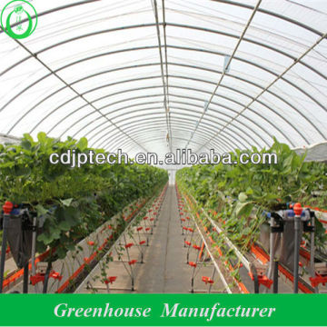 Ventilation Tunnel Greenhouse