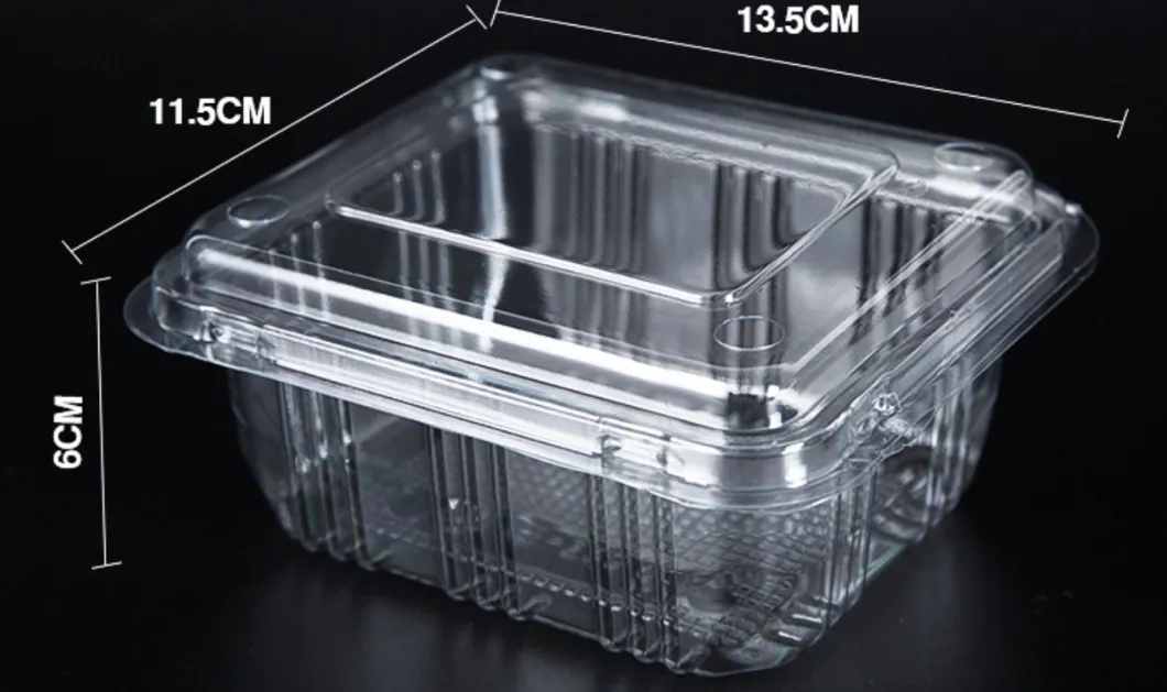 Pet Clear Plastic Compartment Take Away Salad Food Container Tray 6
