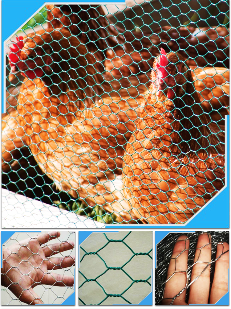 Hexagonal-wire-netting_05 hexagonal-wire-netting_05