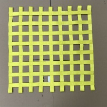 factory direct sale car window net,race window net