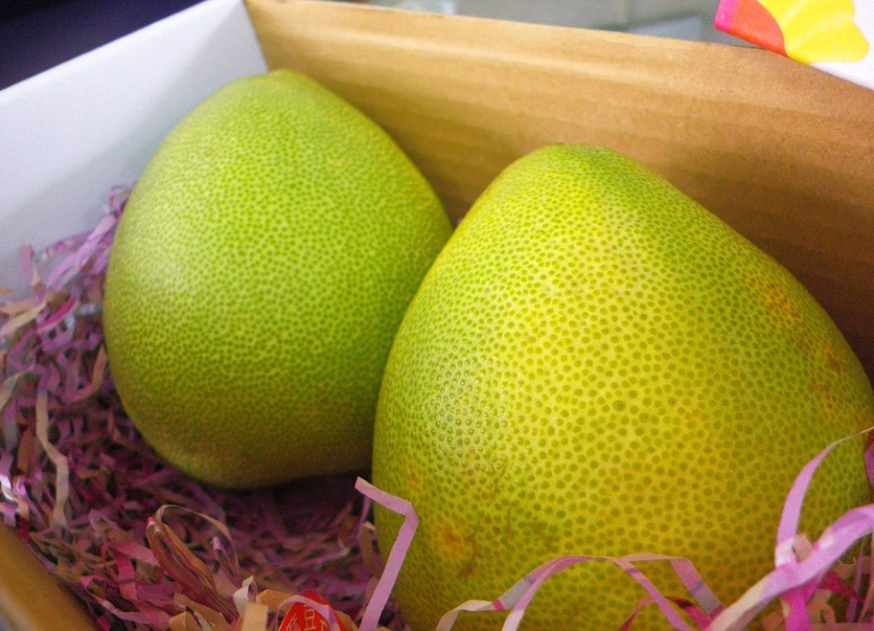 طازجة جيدة Qulality Pomelo