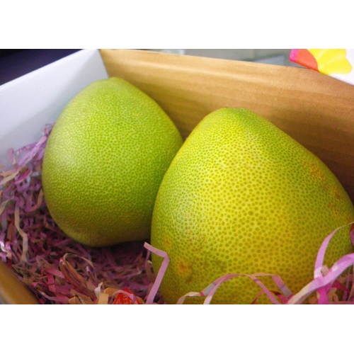 Fresh Good Qulality Pomelo