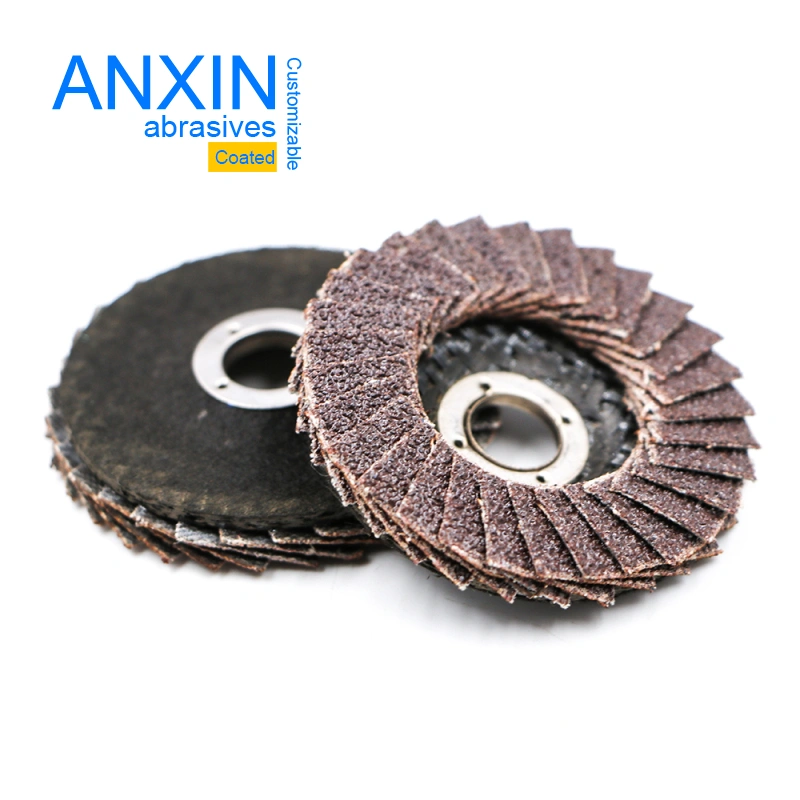 Customized Flap Disc with 100*15 Size for Inox