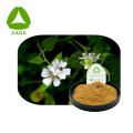 Althaea Officinalis Marshmallow Root PE ამონაწერი ფხვნილი