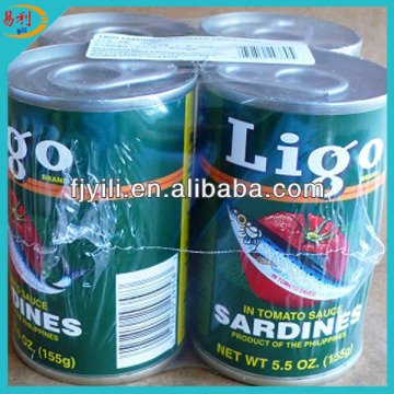 Canned mackerel from chile