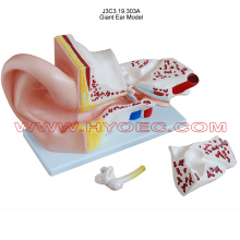 Giant Ear Model-J3C3.19.303A