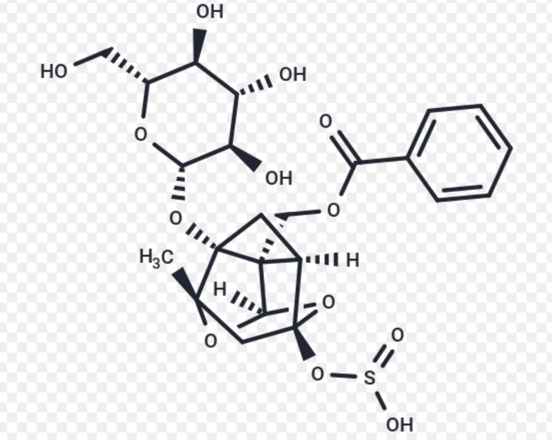 nombre predeterminado default name