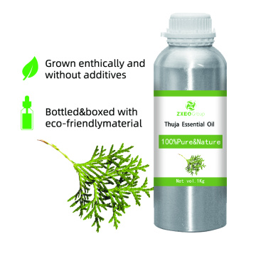 100% pure natural orgnic matter thuja essential oil wholesale in bulk high quality distill extractive thuja oil reasonable price