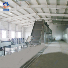 DWT Continous Industrial seaweed drying machine
