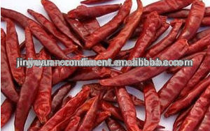 Dried Red Chilli Pepper for promoting