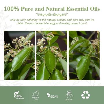 High Grade Camphor Ho Wood Essential Oil For Cosmetic