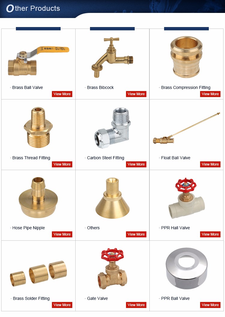 Brass Compression Fitting Coupling Pipe Fitting Tube Fitting factory directly production