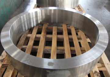 Large Stainless Steel Forging