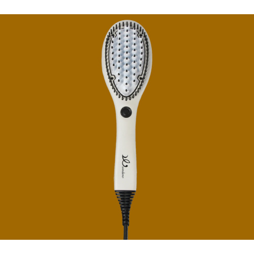 Hair Straightener Carry On