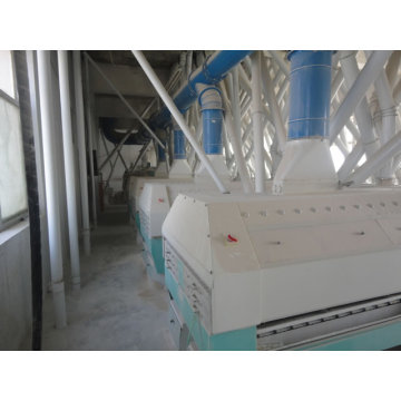 200-300ton/Dwheat flour mill machine