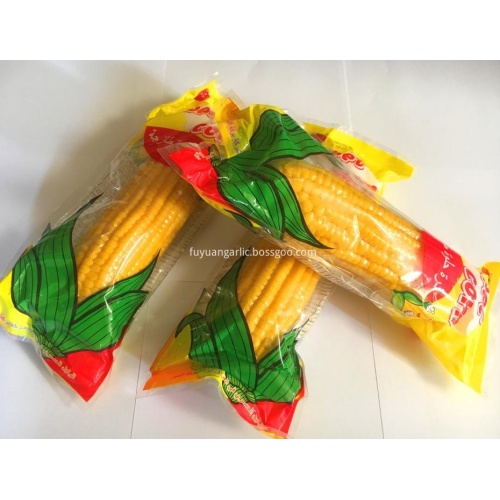 2020 tanaman jagung manis