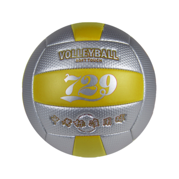 729 Volleyball Youth Performance Ball