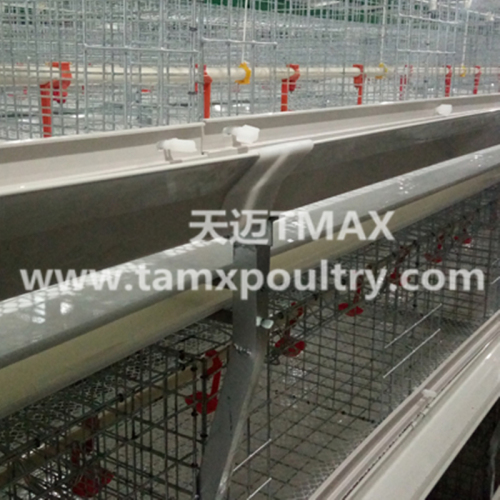 Sistem sangkar broiler untuk Pertanian Ayam