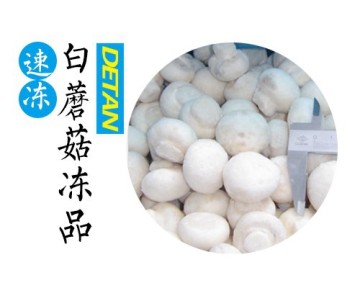 Frozen Delicate Champignon Mushroom/white button mushroom