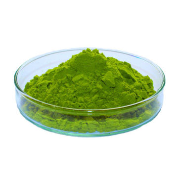 Natural Organic Spinach Juice Powder