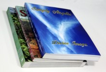 Cookbook/Travel guide softcover