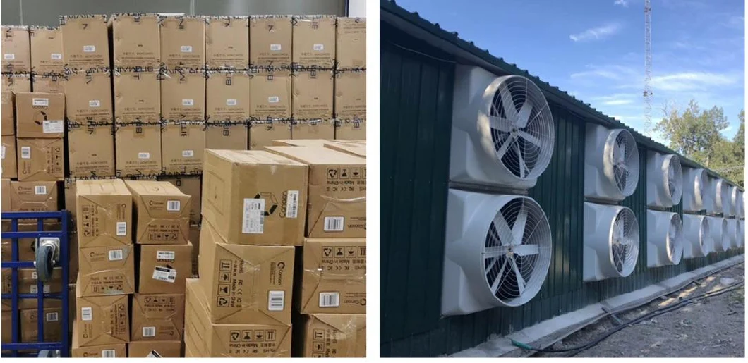 High Profit Microbt Whatsminer M31s M30s M31s+ Sha 256 Bitcoin Asic Miner Ready to Ship