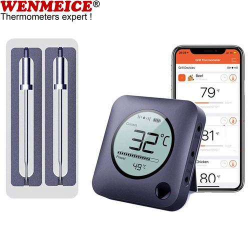 Termometro per barbecue digitale wireless BLE 5.0 con 6 sonde