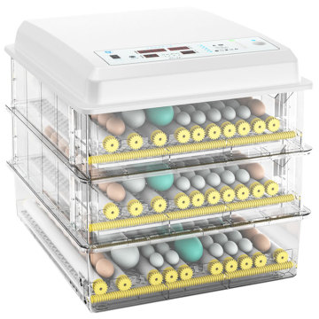 Digital Automatic Chicken Egg Incubator and Hatcher Machine