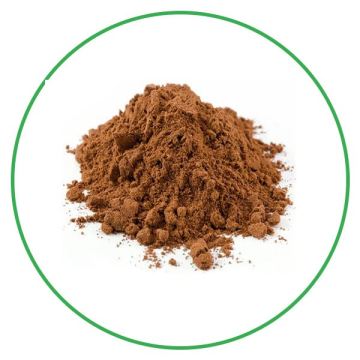 Natural herbal plant reishi mushroom extract powder