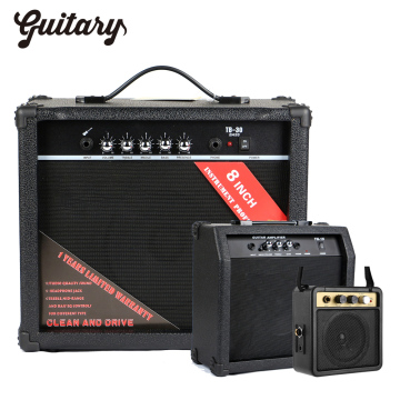 10W-30W Acoustic-Electric Guitar & Bass Tube Amplifier Combo