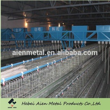 poultry farming cage system