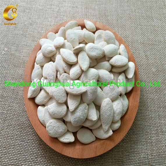 Snow White Pumpkin Seed Kernels with The Best Quality