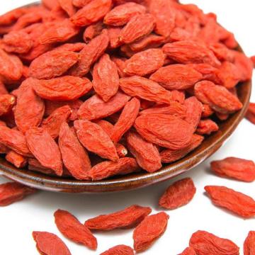 Kurutulmuş Goji Berry Wolfberry organik