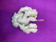 Fresh air dried ginger