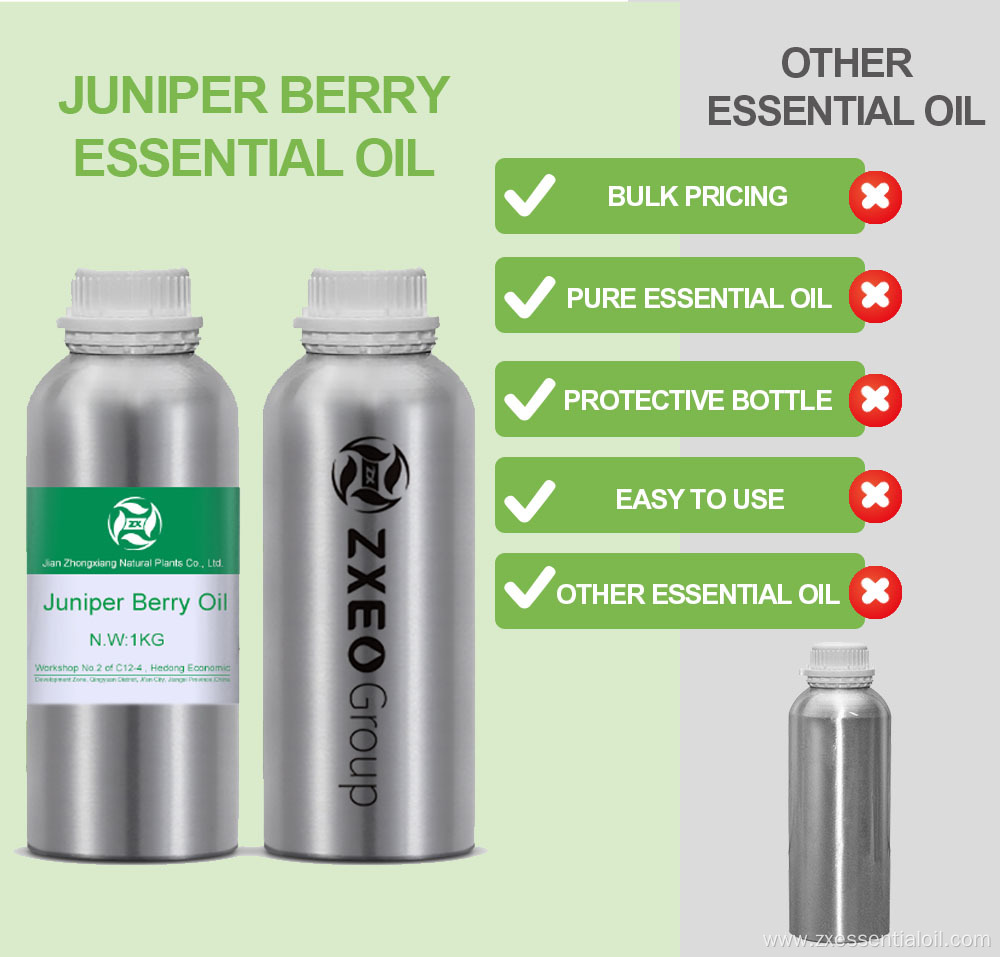 Leading Juniper Berry oil at lowest wholesaler bulk price Aromatherapy Oil