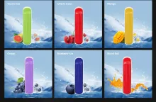 Coolplay 500 Puff Sitting Room Vape