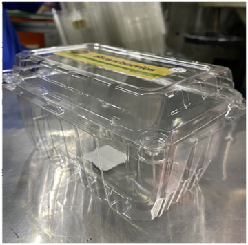 Transparent Plastic Strawberry Packaging for Trader Joe