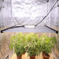 Foldable led grow light 640w High Yield