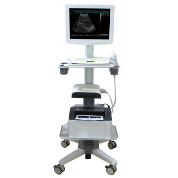 Écran tactile 3D Machine de scanner à ultrasons - SS-100