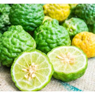 Bergamot Essential Oil Aromatherapy Oil