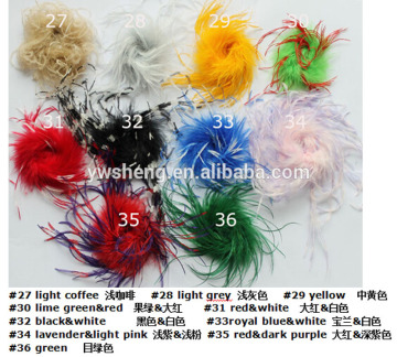 colorful sweet ostrich feather puffs