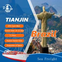 Ocean Freight from Tianjin to Brazil