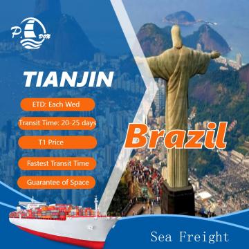 Ocean Freight from Tianjin to Brazil