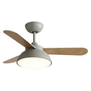 LEDER Meilleur ventilateur de plafond avec lumières